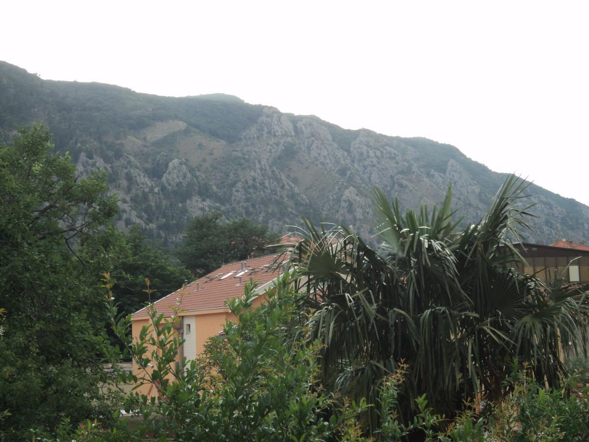קוטור Apartments Skaljari מראה חיצוני תמונה