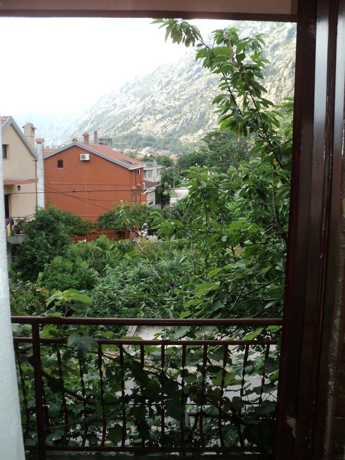 קוטור Apartments Skaljari מראה חיצוני תמונה